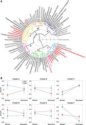 Metabolomics reveals mouse plasma metabolite responses to acute exercise and effects of disrupting AMPK-glycogen interactions